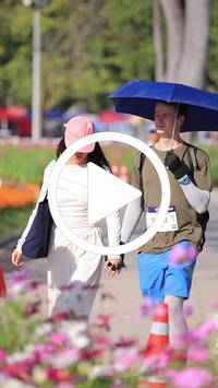 BIB:  <button type="button" onclick="openModal(27588450)" class="btn btn-primary btn-sm float-right" data-toggle="modal" data-target=".modal-high-quality">
                <i class="fa fa-download"></i> Download
                </button>